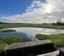 Views of Port Meadow just Yards from Property