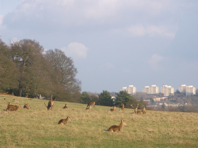  © Copyright David Anstiss and licensed for reuse under this Creative Commons Licence