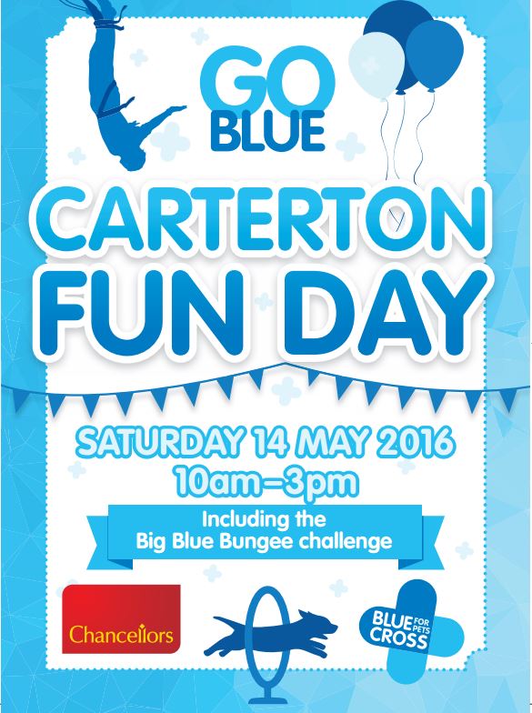 Carterton Fun Day