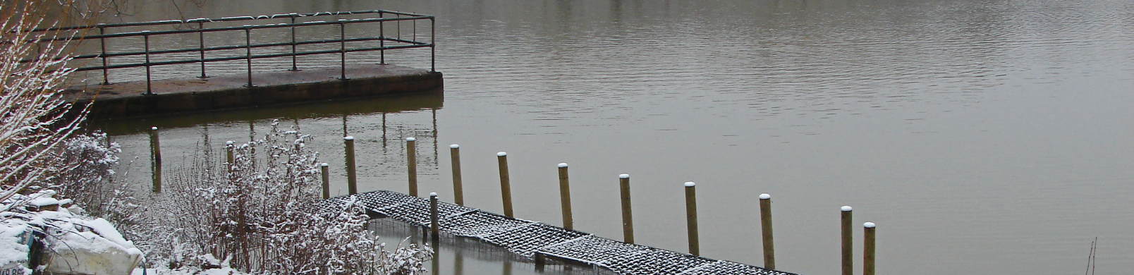 Eaton Corp Challenges IRS, Alleging Company Broke Deals Over How The Firm Moves Money